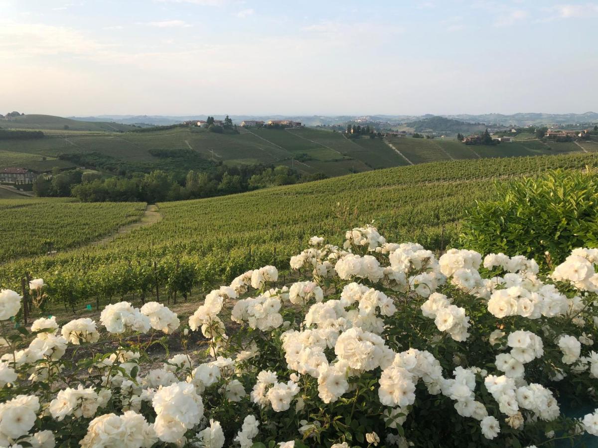 Agriturismo La Casa In Collina Canelli Eksteriør bilde
