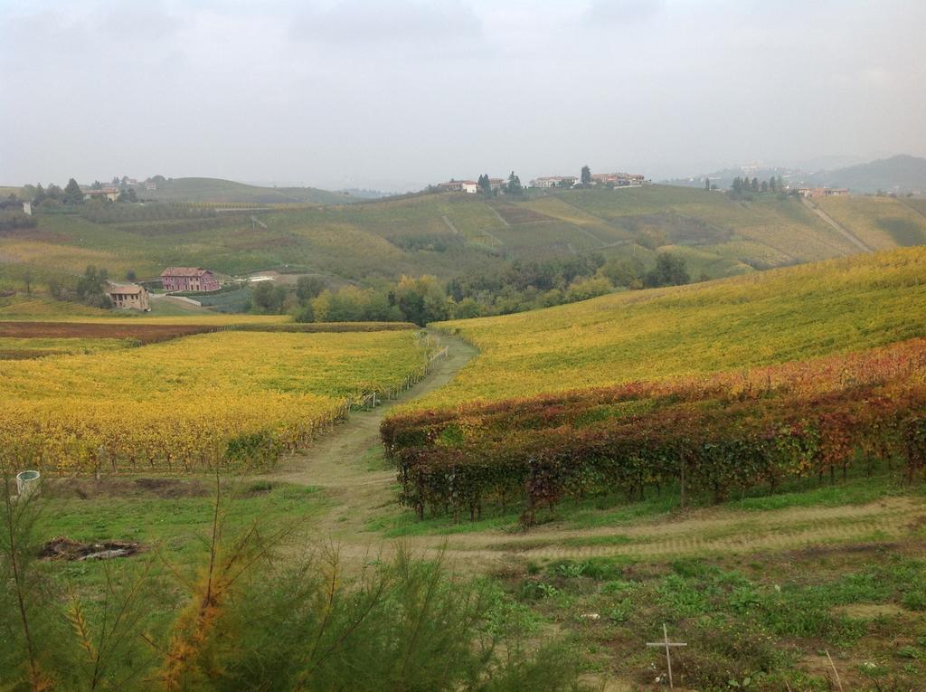 Agriturismo La Casa In Collina Canelli Eksteriør bilde